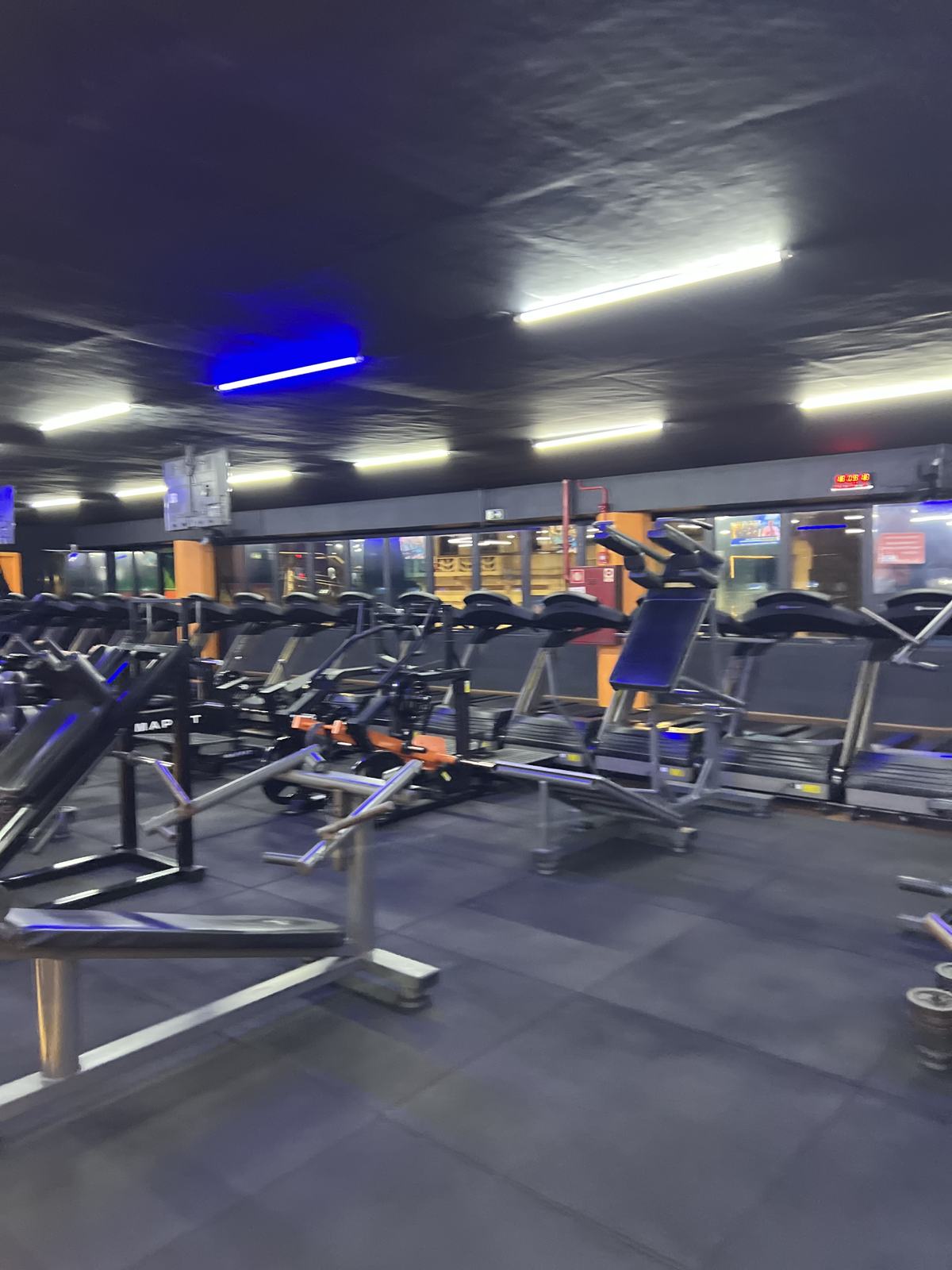 Área de cardio com esteiras